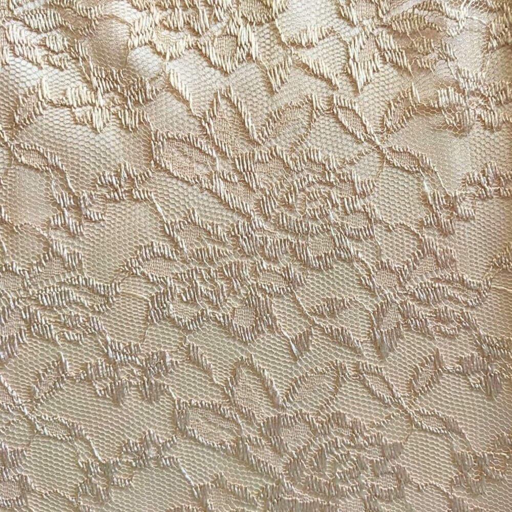 Angelic TAHARI ARTHUR S LEVIN Champagne Satin Georgette Angel Sleeve Lace Overla - Picture 2 of 10